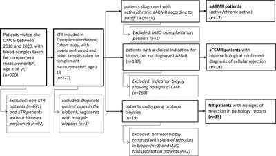 Weak Expression of Terminal Complement in Active Antibody-Mediated Rejection of the Kidney